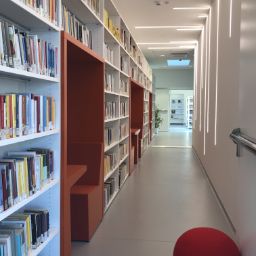 Biblioteca 