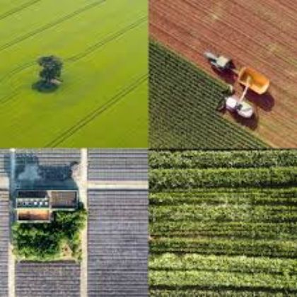 Particelle oggetto di variazioni colturali: pubblicizzazione degli elenchi