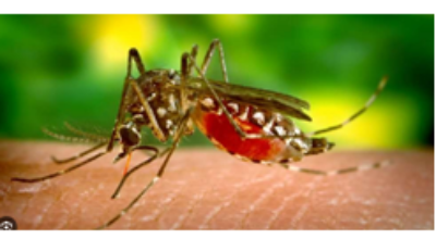 West Nile