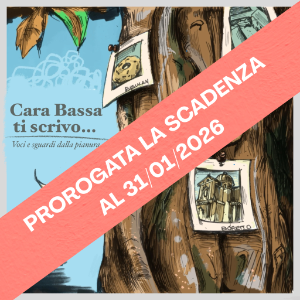 Cartoline dalla Bassa